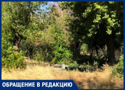 Заросшие дворы и запущенная детская площадка: волжанка пожаловалась на УК