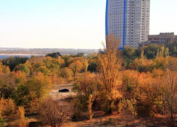 При пожаре в пойме реки Царицы погиб неизвестный мужчина