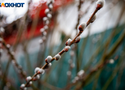 Волжский ждёт неделя затяжных дождей