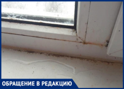 Ребенок с астмой вынужден жить в плесени и мхе: УК «Лада Дом» в Волжском бездействует