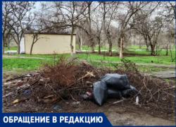 «Каждое утро выходишь и смотришь на эту шляпу»: волжане требуют убрать гигантскую кучу веток на Пушкина, 108