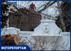 В Волжском сносят сотню деревьев в сквере: ФОТО