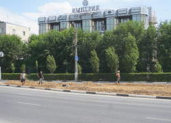 На проспекте Ленина обновят главную клумбу Волжского