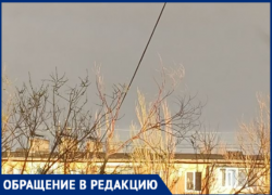 «Ждут трагедии»: в Волжском деревья могут рухнуть на головы прохожим вместе с проводами