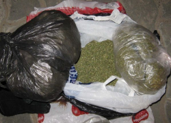 В Волгограде двое членов наркобанды сбывали марихуану безо всякой конспирации