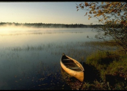 В Михайловке убийца нанес 60 ножевых ранений рыбаку, а тело выкинул в реку