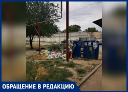 Двор превратился в гадюшник и свалку: больше месяца никто не вывозит мусор в Волжском