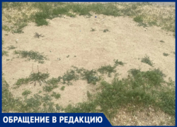 «Детей отправили играть на дорогу»: в Волжском по распоряжению начальницы ЖЭУ снесли единственную песочницу 
