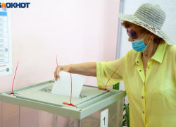 В Волжском анонсировали предварительные выборы кандидатов в гордуму