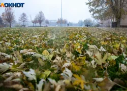 Каким будет воскресенье в Волжском?