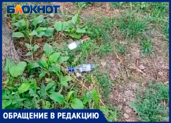 «После установки системы полива вороны заняли сквер»: волжанка жалуется на состояние сквера.