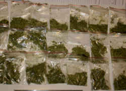 В Волгограде студент академии МВД и его друг продавали наркотические соли и курительные смеси