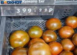 За кило 400 рублей: цена на свежие помидоры бьет рекорды в магазинах Волжского