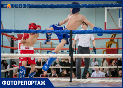 Волжский принял масштабные соревнования по кикбоксингу: более 200 участников на ринге и татами