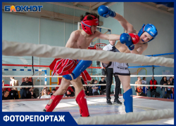 В Волжском состоялся грандиозный турнир по кикбоксингу: фоторепортаж