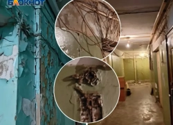 С обугленной проводкой и дырами в стенах еще 15 лет: в Волжском чиновники сообщили о сроках ремонта в общежитиях 