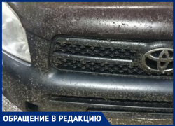 «Мошки обглодали мой автомобиль»: волжанин рассказал о поездке в Астрахань