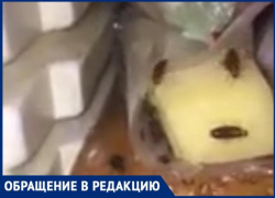 Толпы тараканов в холодильниках, лекарствах и постелях: антисанитарию в больнице Фишера в Волжском сняли на видео