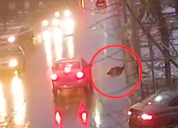 Волжанка сбила школьницу и скрылась с места аварии