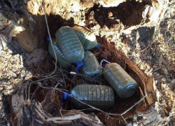 В Волжском драгдилер выдал тайник с шестью пятилитровыми бутылями марихуаны