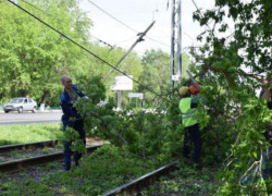 Упавшее из-за шторма дерево парализовало движение в Волжском