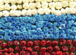 День России в Волжском будет многонациональным и спортивным