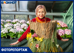 Открытие выставки первоцветов в Волжском: фоторепортаж 