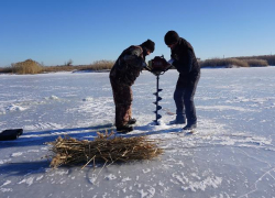 В Волгоградской области спасают рыбу от кислородного голодания
