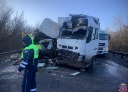 Молодой водитель «ГАЗели» погиб в лобовом столкновении с фурой в Волгоградской области