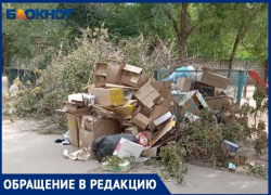 Волжане задыхаются от вони помоев: проблема с вывозом мусора до сих пор актуальна в Волжском