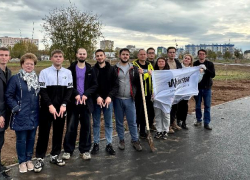 В Волжском обновляют зеленый фонд: тысячи новых деревьев украшают город