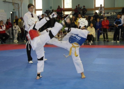 Волжане завоевали золото на первенстве по таэквондо ВТФ