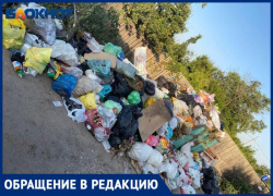 Волжане уже более двух недель задыхаются от вони помоев, которые не вывозят в ДНТ «Труд»