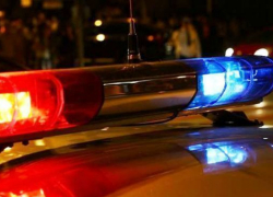 Под Волгоградом полицейские устроили облаву на угонщиков