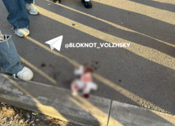 Волжане считают, что совершившая наезд самокатом на пешехода не раскаивается