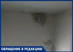 «Штукатурка сыпется со стены»: в Волжском жильцы МКД показали последствия двухлетнего бездействия коммунальщиков