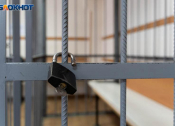Волжскому бизнесмену Кутукову продлили арест за подельничество в многомиллионной финансовой пирамиде Гвоздевой