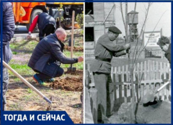 Как Волжский делали зеленым много лет назад: тогда и сейчас