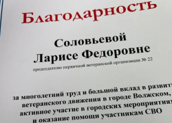 Совет ветеранов Волжского подвел итоги работы за год