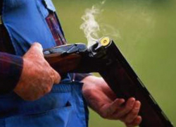 Под Волгоградом за незаконно убитого кабана нарушители заплатят 45 тысяч