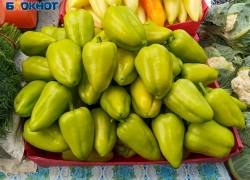 Волжанам рассказали, какие продукты поддержат иммунитет и как помочь организму после зимы