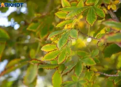 Народные приметы на понедельник 25 ноября