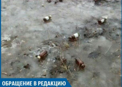 После дождя вместо грибочков во дворе выросли фунфырики, - волжанка