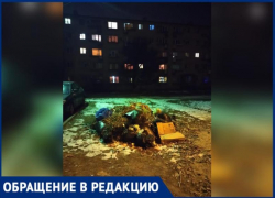 Двор превратился в кладбище сухостоя после спила деревьев в Волжком