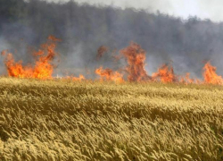 Три часа тушили вспыхнувшие сено и хозпостройку в Среднеахтубинском районе