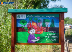 Волжанам запретили ходить в лес до 5 сентября