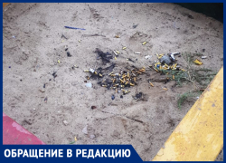 Песочница превратилась в пепельницу, а площадка в обитель собак: жители Волжского в шоке от состояния двора