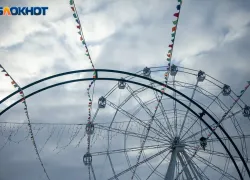 В Волжском отменили закупку на 5 миллионов рублей по содержанию парка