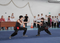 Волжане взяли 2 золотые медали в региональном турнире по ушу