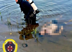 Трагедия на воде под Волгоградом: мужчина пропал во время купания
